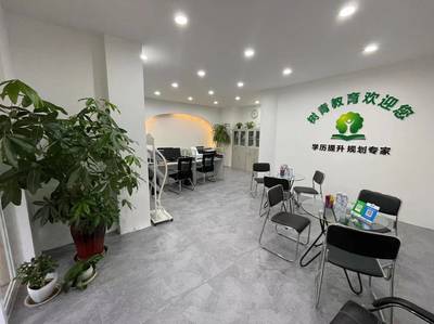 河南樹青教育信息咨詢 專業(yè)服務引領教育新方向